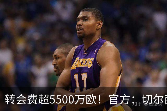 转会费超5500万欧！官方：切尔西签下21岁帕莱斯特拉，签约7年